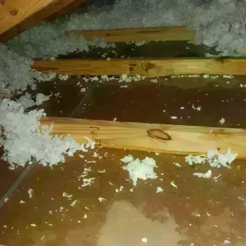 Attic Water Damage in Schoolcraft, MI