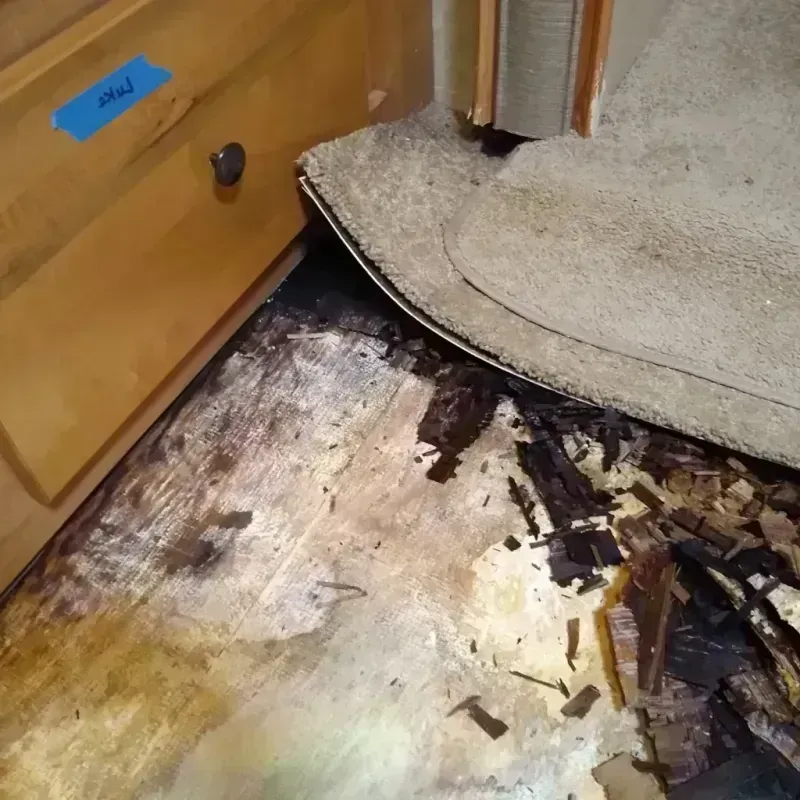 Wood Floor Water Damage in Schoolcraft, MI